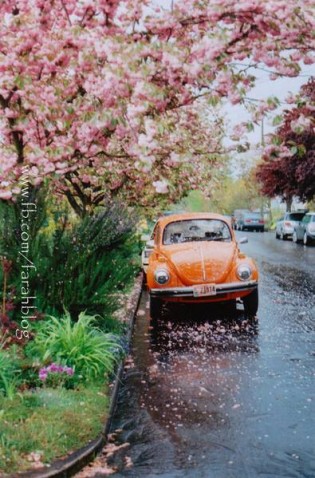 ربيع المدن _ فرح عمران